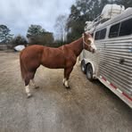 Profile Picture of Casey Cox (@Casey-Cox) on Facebook