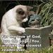 Profile Picture of Patrick Overby (@patrickoverby) on Pinterest
