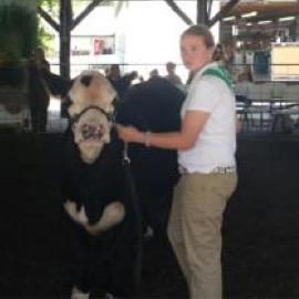 Profile Picture of Ginny Faust (@ginnyfaust18) on Twitter