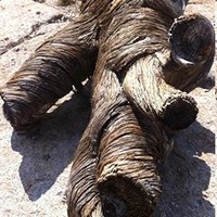 Profile Picture of Julia Guyer (@julia-guyer) on Quora