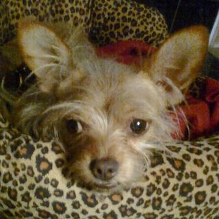 Profile Picture of Tom Haltom (@tom.haltom) on Facebook