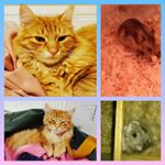 Profile Picture of lea22sylvester (@lea22sylvester) on Instagram