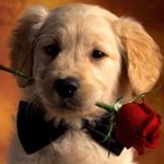 Profile Picture of Blake🤙🏻🤤👻 (@blakedepriest27) on Instagram