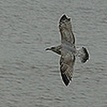 Profile Picture of Daisy Bogaards (@daisybogaards) on Flickr