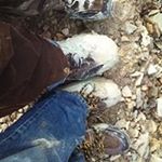 Profile Picture of Scott Larsen (@scott.larsen.77) on Instagram