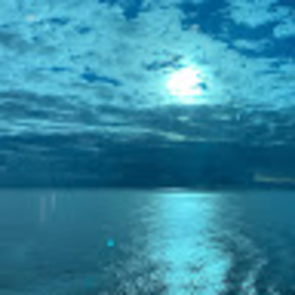 Profile Picture of Ryan Liu (@yuheiliu2006) on Poshmark