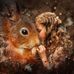 Profile Picture of Robin LaValley (@robin.lavalley.77) on Facebook