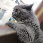 Profile Picture of keiti czarna (@keiticzarna) on Instagram