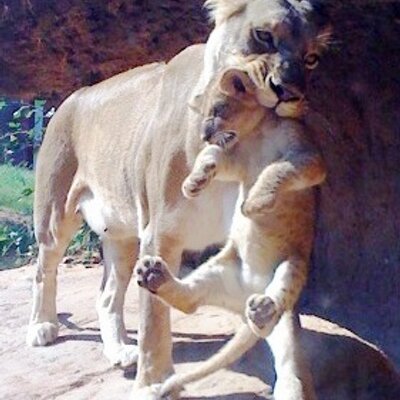 Profile Picture of James Kirkpatrick (@JimmyLaser) on Twitter