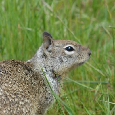 Alexander Orlov - Twitter Profile Picture of Alexander Orlov (@AlexanderOrlov8) on Twitter