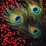 Profile Picture of Viji Krishnan (@viji_maluzz) on Instagram