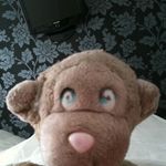 Profile Picture of Andrew Sowden (@andrew.sowden.5) on Instagram