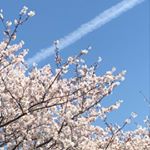 Profile Picture of Yukie Inoue (@yukie.inoue.733) on Instagram