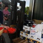 Tom Cargill - Instagram Profile Picture of Tom Cargill (@tomcargill12) on Instagram