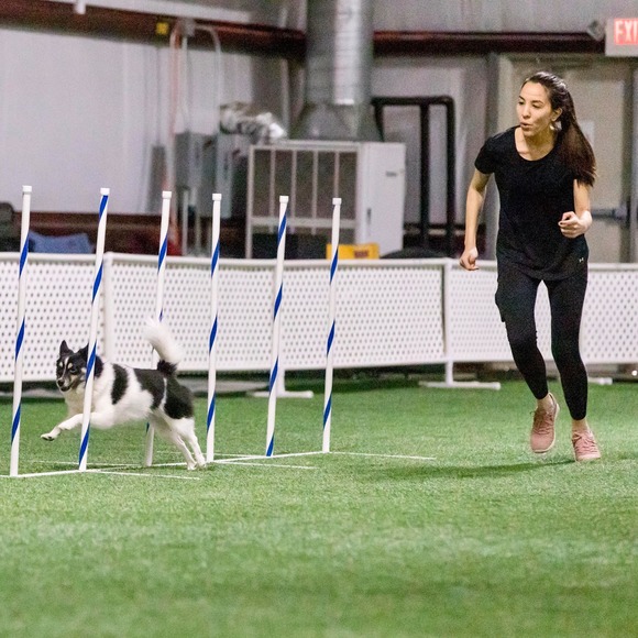 Profile Picture of Allison Kaiser (@allisonkaise737) on Poshmark