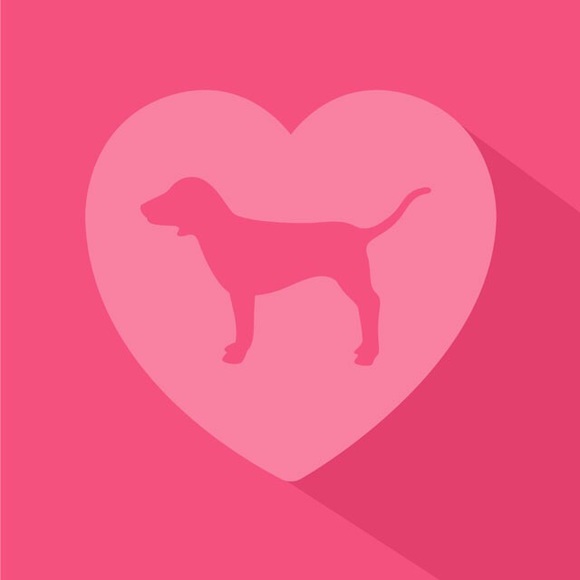 Profile Picture of Paula Dumler (@pdumler1059) on Poshmark