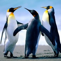 Profile Picture of Parker Henschler (@parker-henschler) on Quora