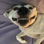 Profile Picture of Alexander Groton (@alexander.groton) on Facebook