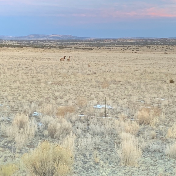 Profile Picture of Nick Coca iii (@1kingjesus33) on Poshmark