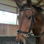 Profile Picture of Robin Foster (@robin.foster.33) on Instagram