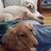 Profile Picture of Brian Scully (@brian.scully.1426) on Facebook