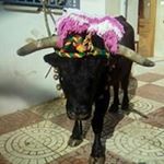 Profile Picture of Julio Exposito (@julio.exposito.54) on Instagram