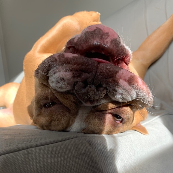 Profile Picture of Emily Sordelet (@emmie560) on Poshmark