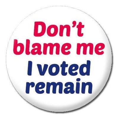 Steve Orton 🇬🇧 🤝🇪🇺 - Twitter Profile Picture of Steve Orton 🇬🇧 🤝🇪🇺 (@Dronach) on Twitter