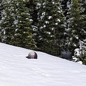 Profile Picture of Nathan Randle (@nathanrandle7587) on Youtube