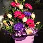 Profile Picture of Shirley Phillips (@shirleyphillips941) on Instagram