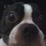 Profile Picture of Joele Kirkpatrick (@joele098) on Instagram