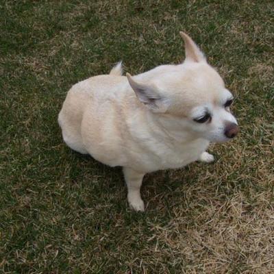 Roberta Cyr - Twitter Profile Picture of Roberta Cyr (@RobertaCyr) on Twitter