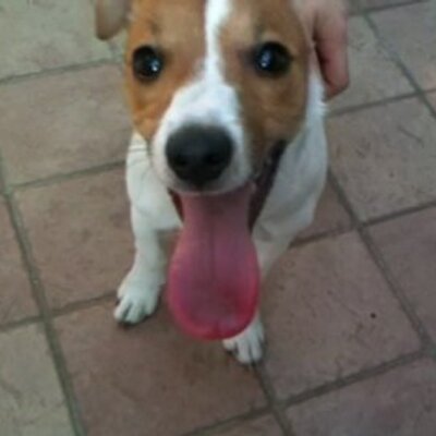 Profile Picture of Michael Cantoni (@MichaelCantoni) on Twitter