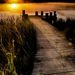 Profile Picture of jim reuter (@james51) on Pinterest