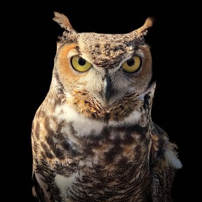 Profile Picture of Stephanie Dockery (@StephanieDock18) on Twitter