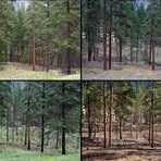 Profile Picture of Desire Fofung Jomiah (@desire.fofung.jomiah) on Facebook