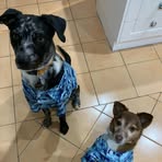 Profile Picture of Kae Richardson (@inger.richardson.3) on Facebook