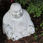 Profile Picture of drhartshorne (@drhartshorne) on Flickr