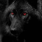 Profile Picture of Cameron Ramos (@djinnimndtrick) on Instagram