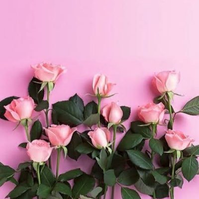 Hayley Lanham - Twitter Profile Picture of Hayley Lanham (@LanhamHayley) on Twitter