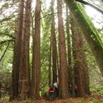 Profile Picture of John Slaymaker (@johnslaymaker) on Instagram