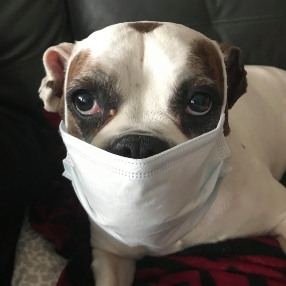 Profile Picture of Rachelle Magnussen (@rmagnussen) on Poshmark