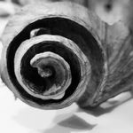 Jason Kugler - Instagram Profile Picture of Jason Kugler (@jpk5755) on Instagram