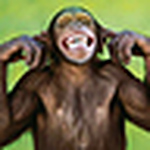 Profile Picture of Perrin Sam (@gainsbourg54) on Flickr