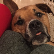 Profile Picture of Joey Jensen (@Jomaloe) on Youtube