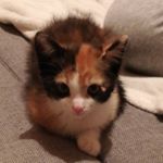 Profile Picture of Samuel (@_fedaksamuel) on Instagram