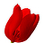 Profile Picture of Andre Grey (@suharik2010) on Flickr