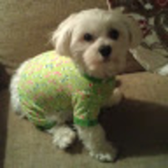 Adam Rossbach - Poshmark Profile Picture of Adam Rossbach (@adamrossbach) on Poshmark