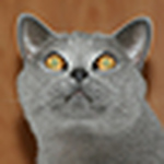 Profile Picture of Matt Clark (@mattfish99) on Flickr