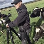 Profile Picture of Matthew Gormly (@travmatt) on Instagram